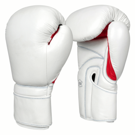 Boxing Glove
